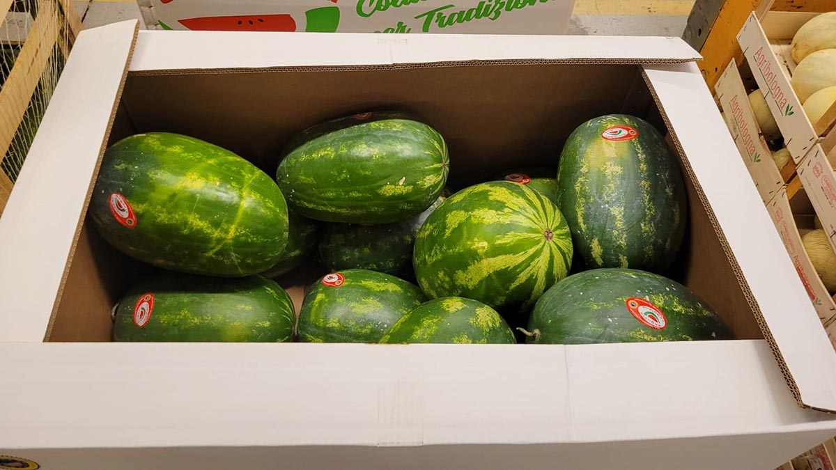 Anguria - Reggio Emilia - 1,20 euro al chilogrammo